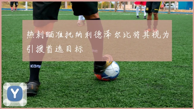 热刺瞄准托纳利德泽尔比将其视为引援首选目标