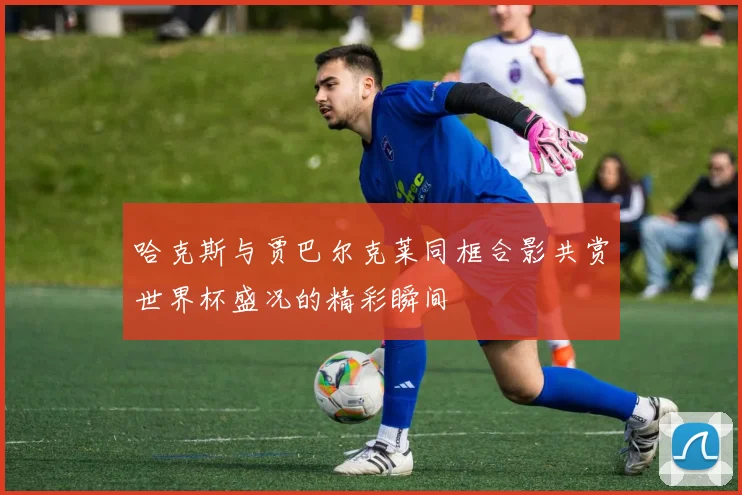哈克斯与贾巴尔克莱同框合影共赏世界杯盛况的精彩瞬间